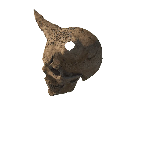 Horned Skull2
